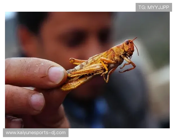 国际体育媒体怒怼东道主：你们准备太差