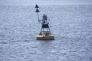 开云网站-中方蝶泳入水角度更锐利？图解数据分析，中国蝶泳厉害吗